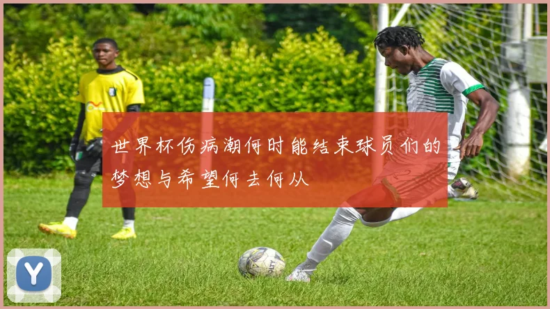 世界杯伤病潮何时能结束球员们的梦想与希望何去何从