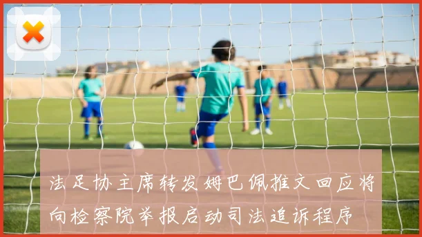 法足协主席转发姆巴佩推文回应将向检察院举报启动司法追诉程序