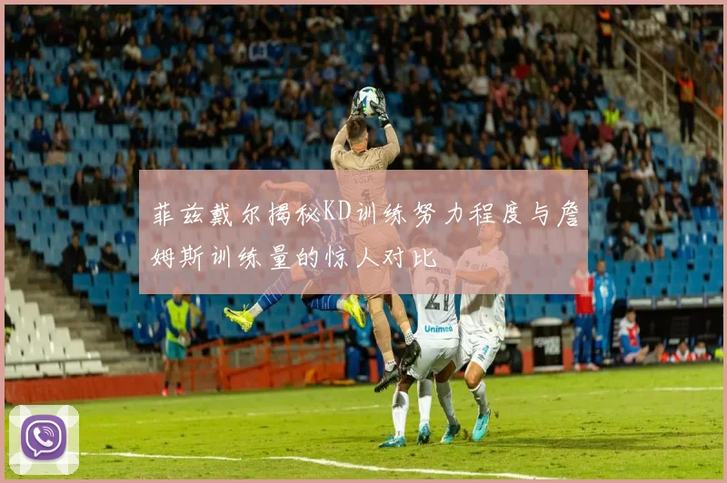 菲兹戴尔揭秘KD训练努力程度与詹姆斯训练量的惊人对比